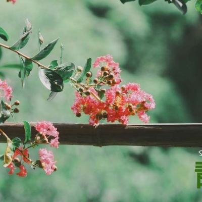 皇冠app官方版下载安装