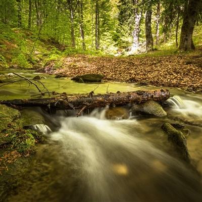 华体会登录手机版手机app下载截图